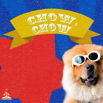 Banho e Tosa de Cães e Gatos na Pet Circus