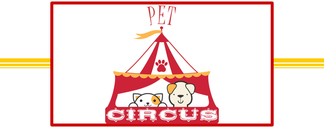 Styllos Fitness - Conserto e Manutenção de Esteiras Ergometricas.