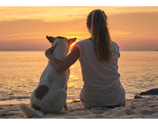 pet circus petshop banho e tosa